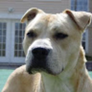 Meet your Posher, Carole